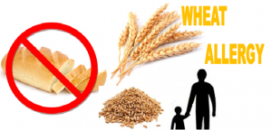 diet plan for wheat allergy 